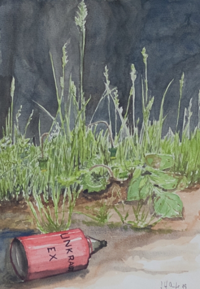 Hallo-Duerer-1989-HB-Aquarell
