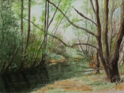 Fruehling-an-der-Nidder-2012-36x48-Aquarell-IPB