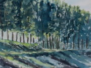 Nidda-Ufer-1973-36x48-Aquarell