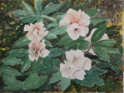 Rhododendron-2012-36x48-Aquarell