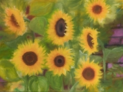 Sonnenblumen-2018-60x80-Oel