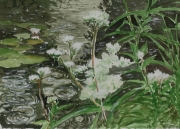 Teich-im-Regen-2012-18x24-Aquarell-Gouache