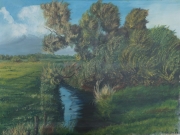 Wuemmewiesen-1986-60x80-Oel